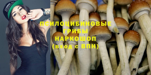 стафф Алзамай