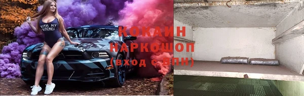 стафф Алзамай